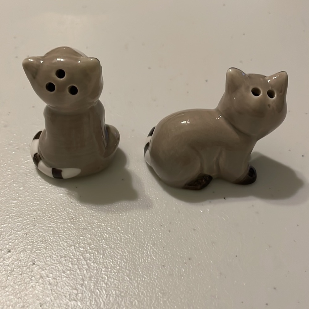 Mini Salt & Pepper Shakers Raccoon - Picture 8 of 12